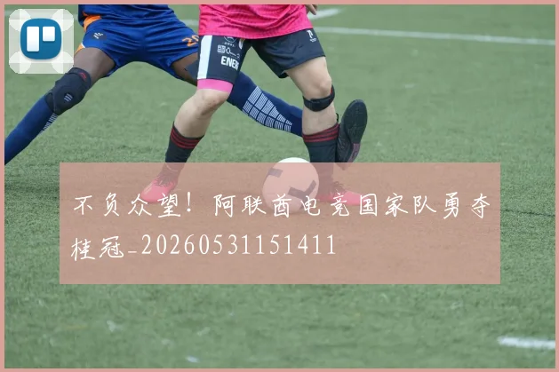 不负众望!阿联酋电竞国家队勇夺桂冠_20260531151411